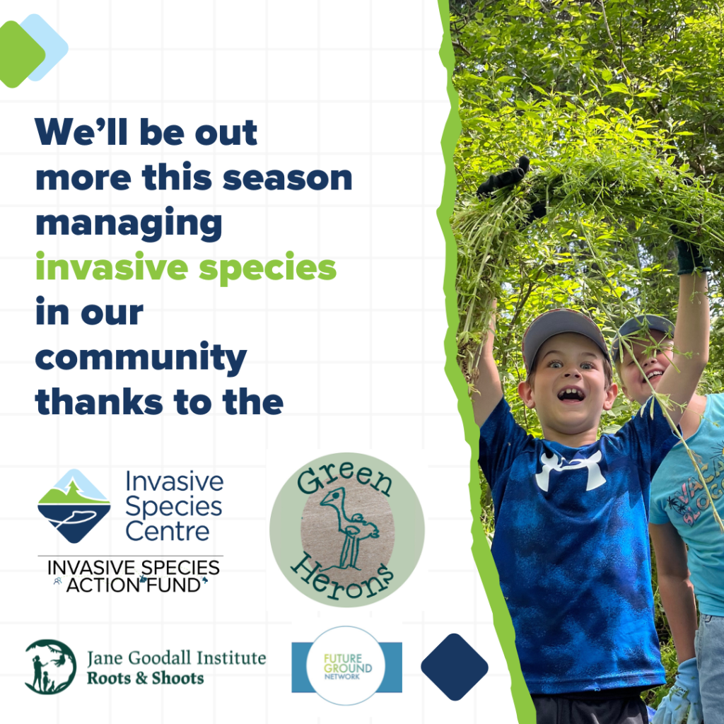 Invasive Action Fund&nbsp;Recipients!