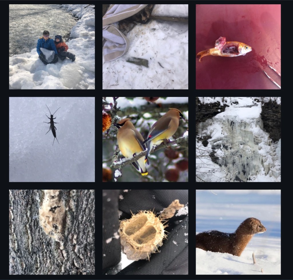 things we found – part&nbsp;6