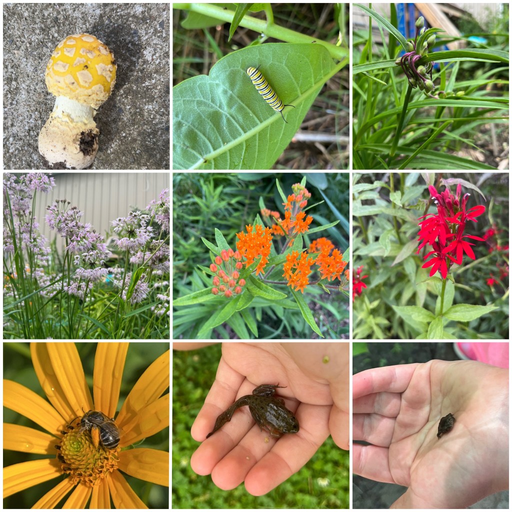 things we found – part&nbsp;12