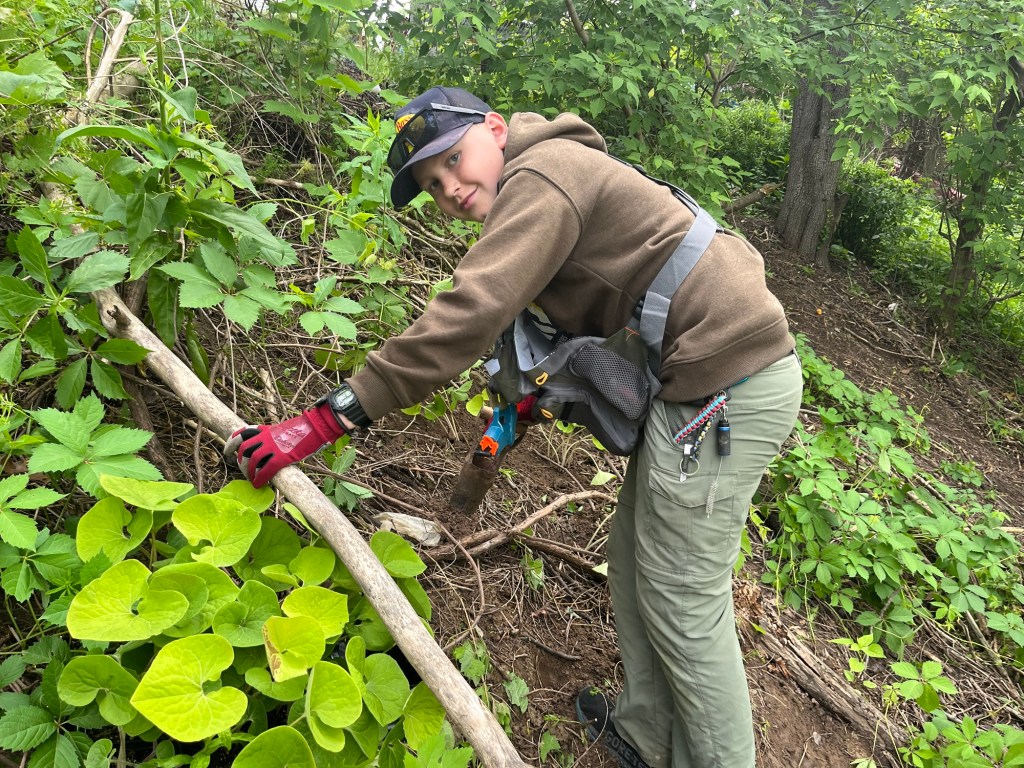 Stop the Sticky Bedstraw&nbsp;Bruh
